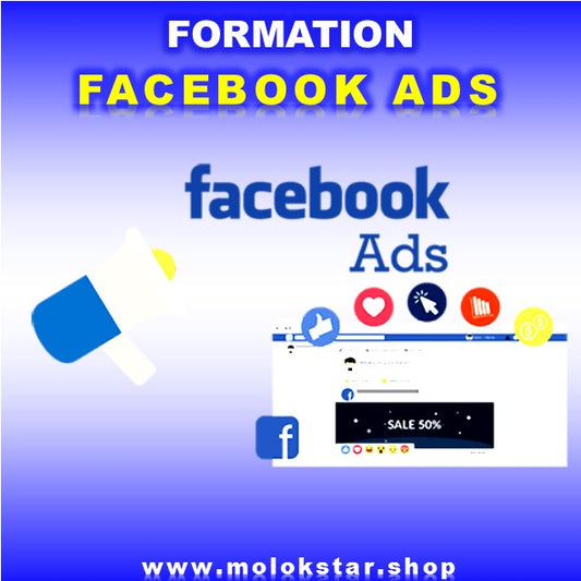 Formation Facebook Ads a distance 2024